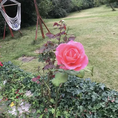 Aussichtszimmer Mit Modernem Glasbad Und Balkon * Кобленц