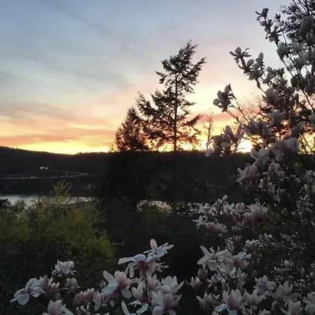 Aussichtszimmer Mit Modernem Glasbad Und Balkon Accommodatie bij particulieren Koblenz (Rhineland-Palatinate)