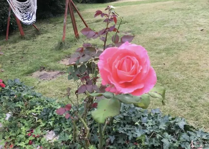 Aussichtszimmer Mit Modernem Glasbad Und Balkon * Кобленц