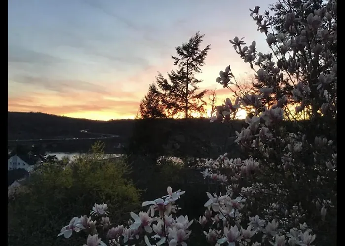 Aussichtszimmer Mit Modernem Glasbad Und Balkon Проживание в семье Кобленц